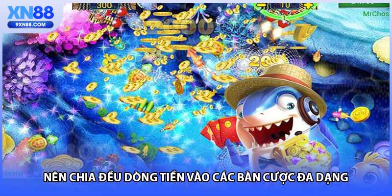 Nên chia đều dòng tiền vào các bàn cược đa dạng